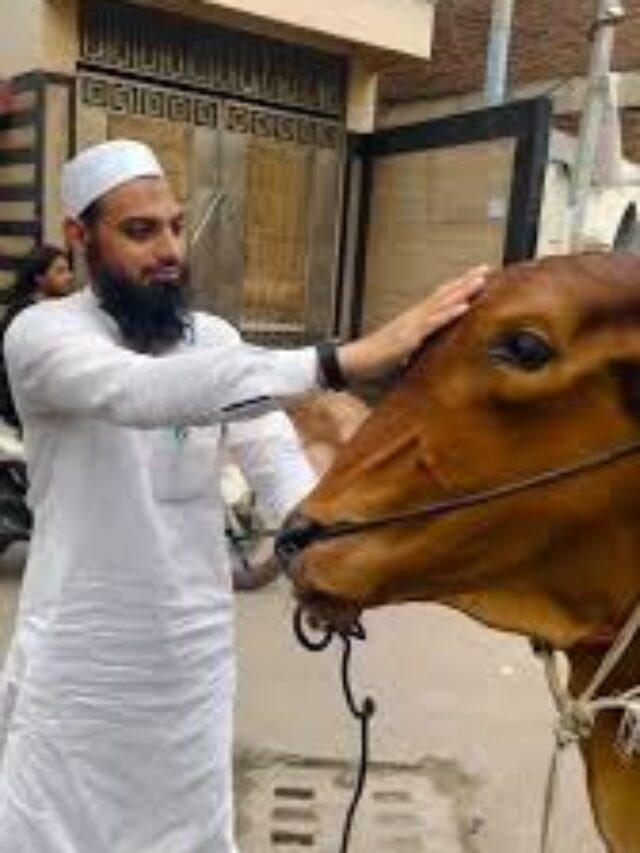 cow cutting save in bakra eid