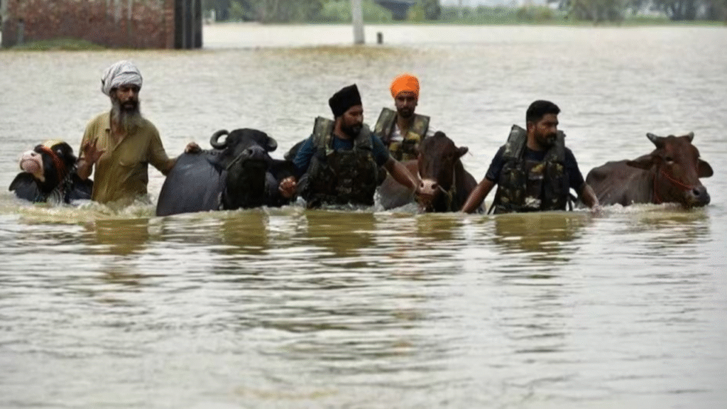 ptc punjabi news