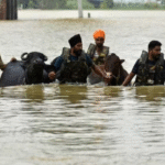PTC Punjabi News: Ground Report on Punjab Flood Disaster
