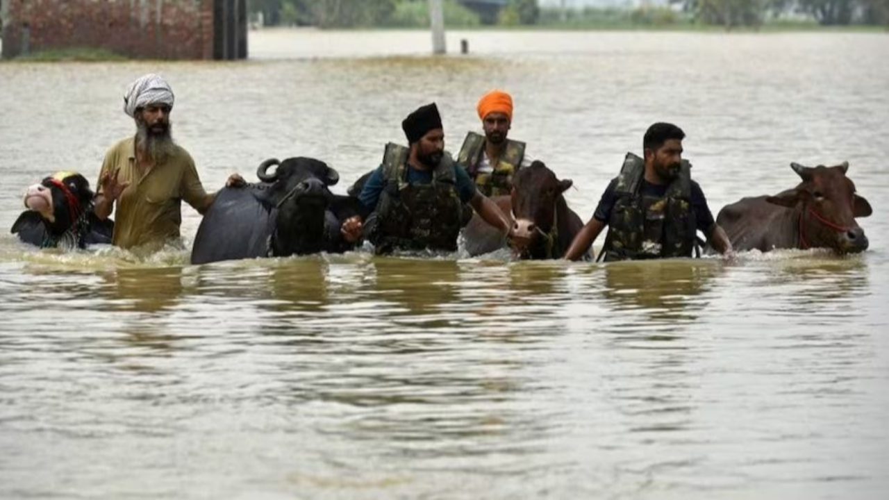 ptc punjabi news